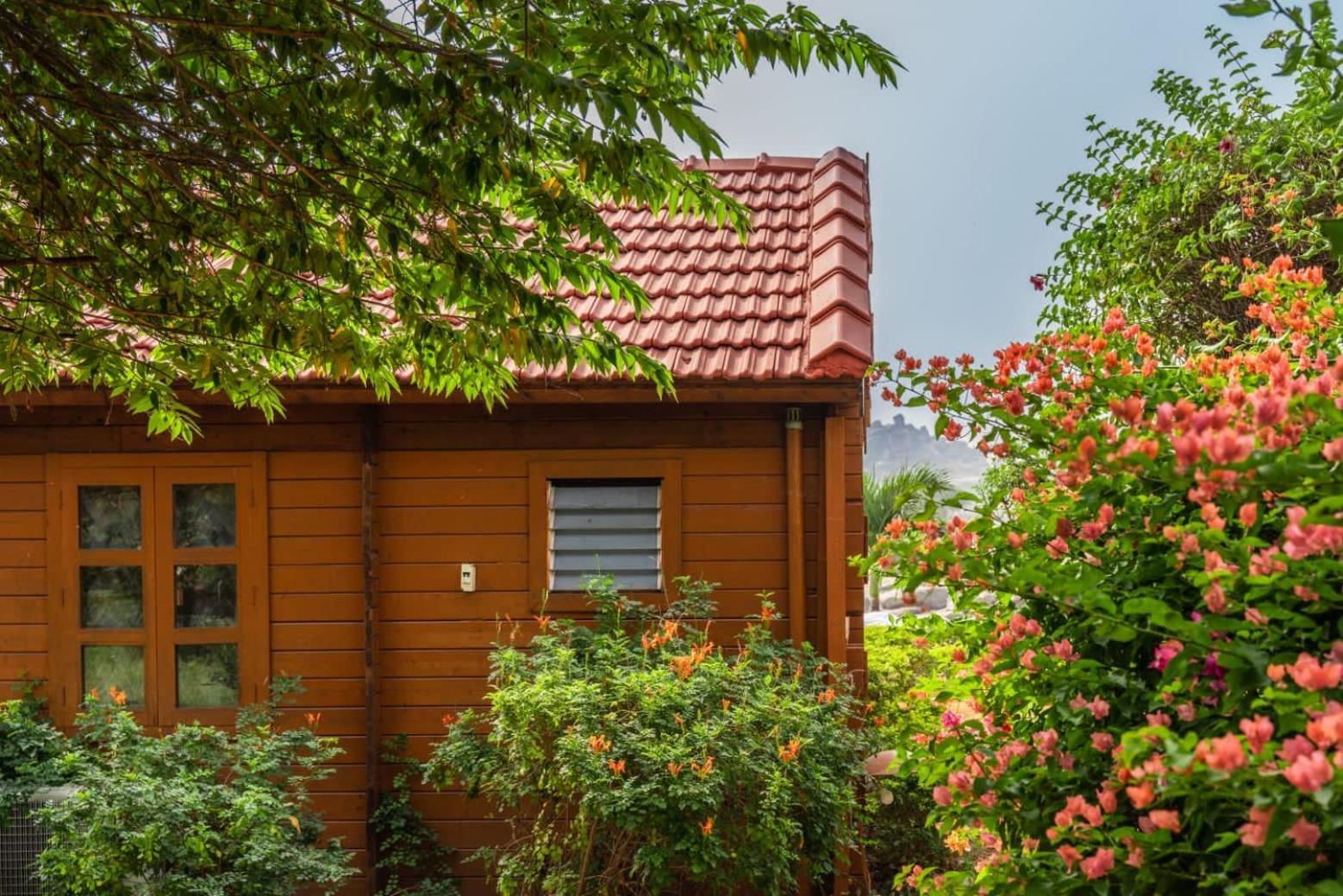 Leo Wooden Resorts هامبي المظهر الخارجي الصورة