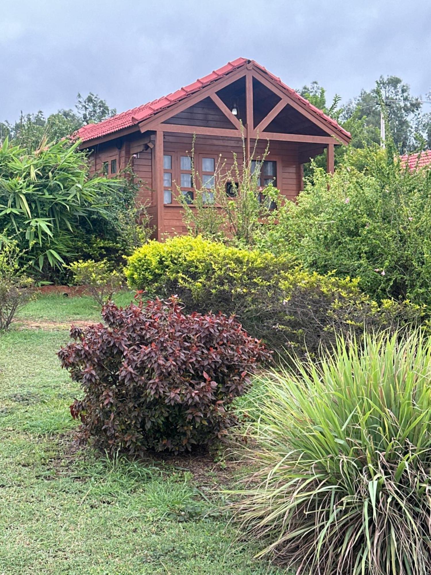 Leo Wooden Resorts هامبي المظهر الخارجي الصورة