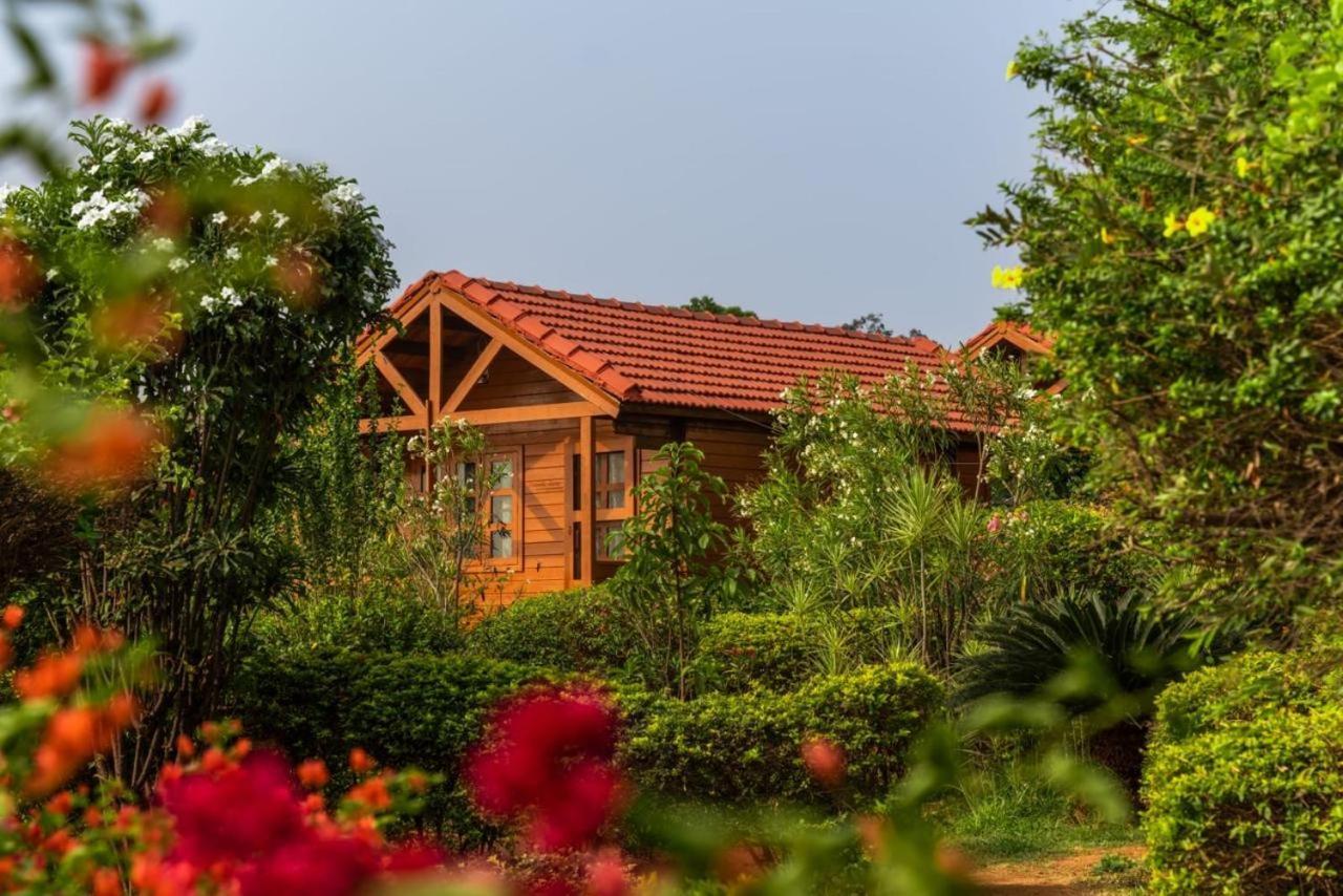 Leo Wooden Resorts هامبي المظهر الخارجي الصورة